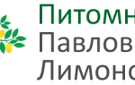 Лимон Мейера: уход в домашних условиях, размножение