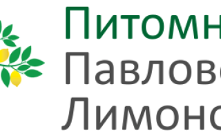 Гранат Нана: уход в домашних условиях