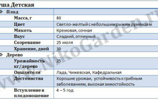 Груша Детская: характеристика сорта, посадка и уход