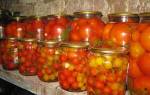 Выращиваем рассаду томатов без пикировки