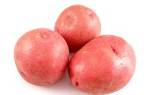 Сорт картофеля Краса: характеристика, отзывы, урожайность