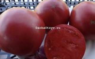 Томат Розовый спам: отзывы с фото