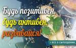 Варенье из кедровых шишек: польза и противопоказания