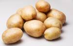 Сорт картофеля Рагнеда: отзывы и характеристика