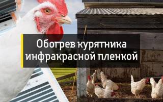 Инфракрасный обогреватель для курятника