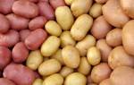 Сорт картофеля Дева: характеристика, отзывы, урожайность