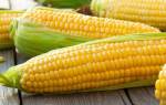 Консервированная кукуруза: польза и вред, можно ли есть детям, маринование на зиму