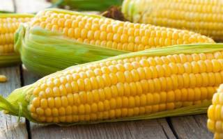 Консервированная кукуруза: польза и вред, можно ли есть детям, маринование на зиму