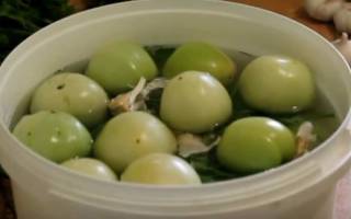Как заквасить зеленые помидоры в кастрюле