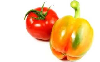 Подкормка народными средствами рассады томатов и перцев