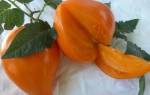 Томат Оранжевая клубника: описание сорта, фото, отзывы