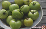 Зеленые помидоры: польза и вред