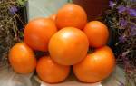 Томат Амана Оранж(Amana Orange): описание сорта, отзывы и фото