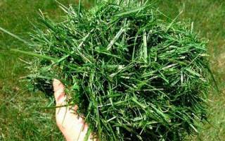 Как приготовить жидкую подкормку из травы
