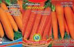 Сорта моркови маленькой
