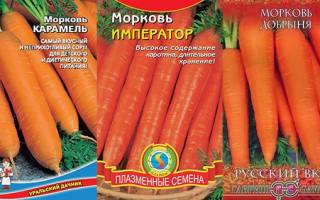 Сорта моркови маленькой