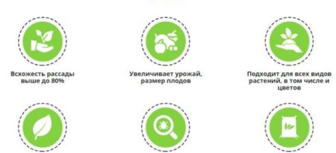 Удобрение Малышок для перцев и томатов: инструкция