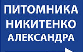 Пион Соланж: описание, отзывы, посадка и уход