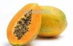 Сушеная папайя: польза и вред для организма, калорийность