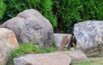 Сад из камней своими руками: фото красивых композиций + пошаговый мастер-класс