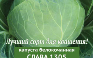 Посев семян капусты на рассаду на Урале