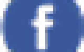 Сорт розы Чарльз Остин