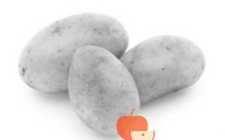Сорт картофеля Джура (Айл оф Джура, IsleOfJura): отзывы, характеристика, агротехника выращивания