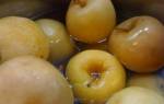 Рецепт моченых яблок на зиму в ведре