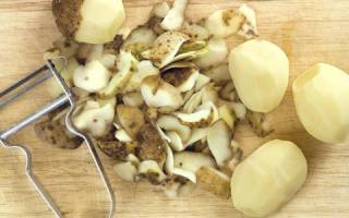 Подкормка смородины весной картофельными очистками